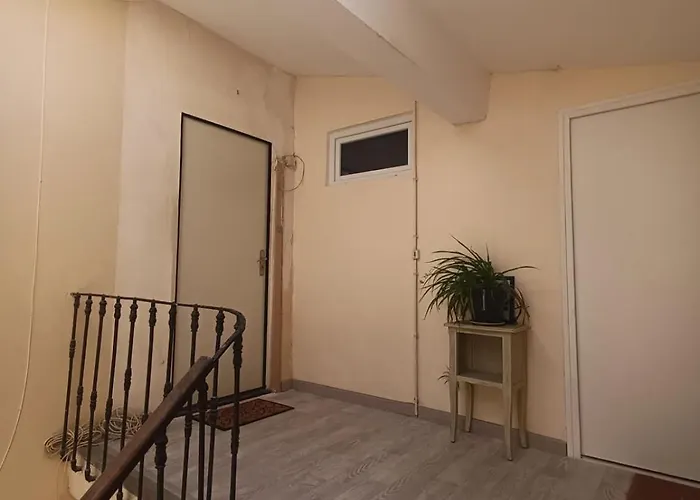 Apartamento La Casa Jungle