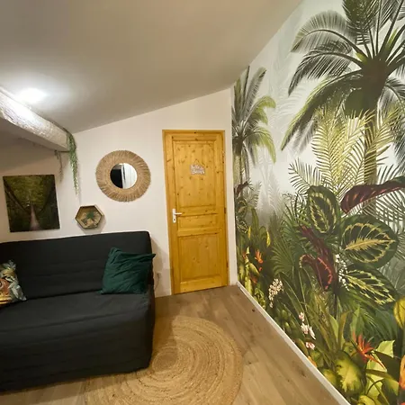 Apartment La Casa Jungle *