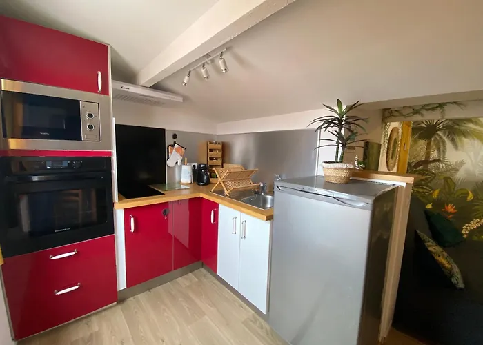 아파트 La Casa Jungle 프롱티냥